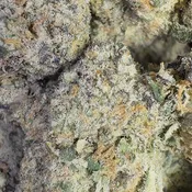 Golden Trio | 3.5 Grams | Sativa