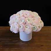 Japanese blush ranunculus — MICHAEL GEORGE