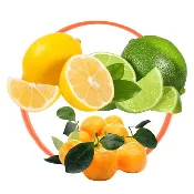 Citrus Favorites Trio- Lemon, Lime & Calamondin Trees Collection