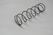 Spring, Intake or Exhaust,  Monitor HJ 3-5 hp