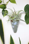 Medium Ceramic Wall Planter
