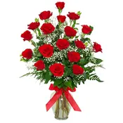 18 Long Stem Roses in Vase