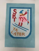 Ski Ya Later