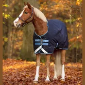 Amigo Bravo 12 Pony Original Medium