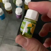 12 Pc. Fragrance Oil Set for Diffuser/Warmer