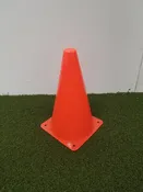 Champion 9 Inch Cones