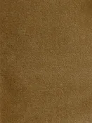 Cotton Velvet - Camel — Sunday Shop
