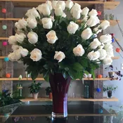 Rose Explosion