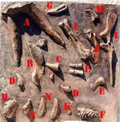 Dino Dig Dinosaurs Fossil Bones Panel