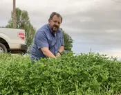 Buffalo Clover Blend® (Annual and Perennial)
