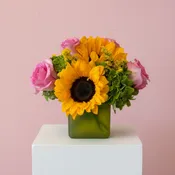 Sunshine & Blush Cube