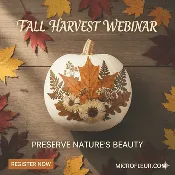Craft Workshop - Pressed Flower Pumpkins