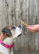 Chicken Foot — Treats De Cuisine