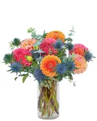 Dahlia Fusion