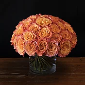 sunset roses — MICHAEL GEORGE