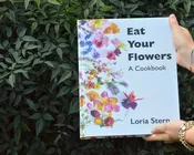 Eat Your Flowers: A Cookbook