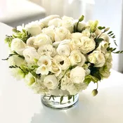 Blanca