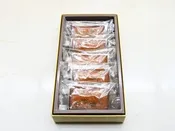 CHESTNUT FINANCIER