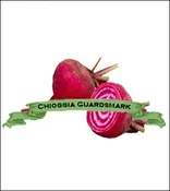 Beet Seed. Organic Chioggia Guardsmark. Heirloom. Pkt.