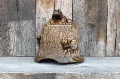 Toad House