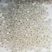 0005m - Silver Lined Crystal Matte - Size 6/0