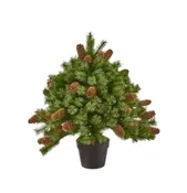 26" Potted Needle Cone Tree