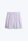 Gus Boxer in Green & Lavender Stripe