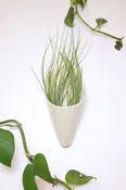Large Ceramic Wall Planter