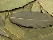 Bay Leaves