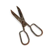 19th c. Hand-Forged Iron Scissors
