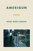 Amerigun — Persea Books