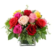 1 Dozen Kaleidoscope Roses