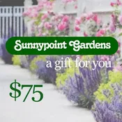 $75 Gift Card
