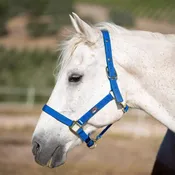 Break-away Halter