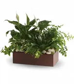 Modern Reflections Planter