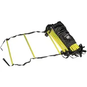 Agility Training Ladder
