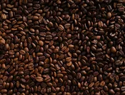 Fresh Coffee — Pierpoint Candle Company