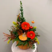 Pumpkin Patch Posy