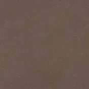 Rustic Cedar Color Sample