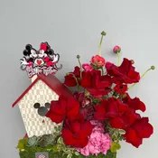 Mickey & Minnie Love Affairs