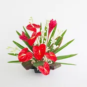 Ahi a Me Hau Kea – Fire and White Snow Hawaiian Flower Assortment – Not Arranged – Shipped Mon – Thu