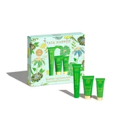 Brighten Up Essentials Set