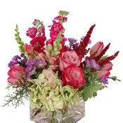 Lively & Luscious