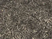Triple Shredded Black Dyed Mulch