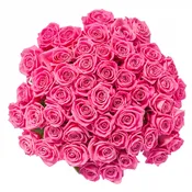 50 Stems Fresh Pink Roses