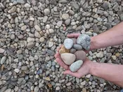 River Rock 1″-3″