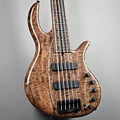 Elrick Gold Series, Hand-Carved e-volution 5-String Bass Guitar #E2424 -