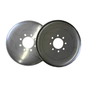 12" T409 Stainless Steel Discs (set)