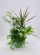 LUSH DISH GARDEN