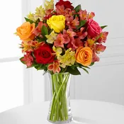 Gratitude Blooms